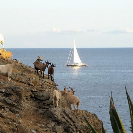 קאפוליברי Isola D'Elba Come In Barca, A Un Tuffo Dal Mare מראה חיצוני תמונה