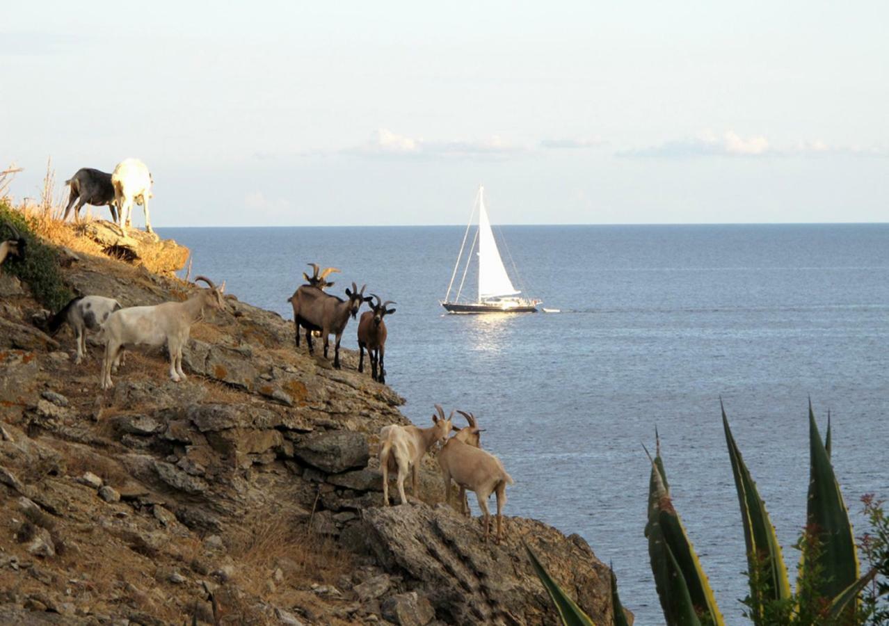 קאפוליברי Isola D'Elba Come In Barca, A Un Tuffo Dal Mare מראה חיצוני תמונה